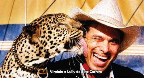 Praia da Armacao do Itapocoroi Hotel | Pousada Morada dos ANJOS