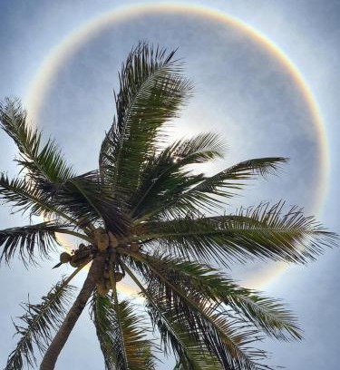 Monte das Gameleiras Apartment | Pousada prime