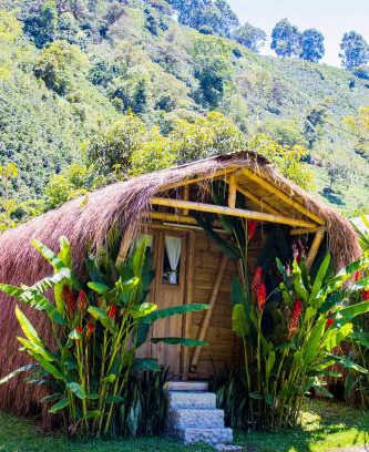 Betania Hotel | Pradera Ecoliving