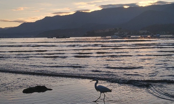 Tabatinga Apartment | Praialar Apt, full kitchen, furnished, 700 meters from the beach.