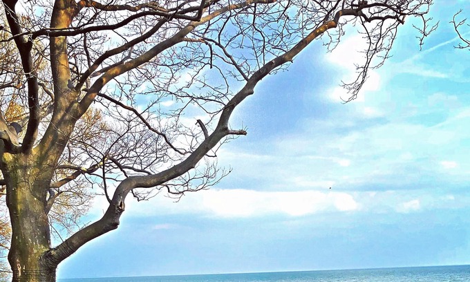 Kingsville House | PREMIUM COACH HOUSE... on the shores of Lake Erie