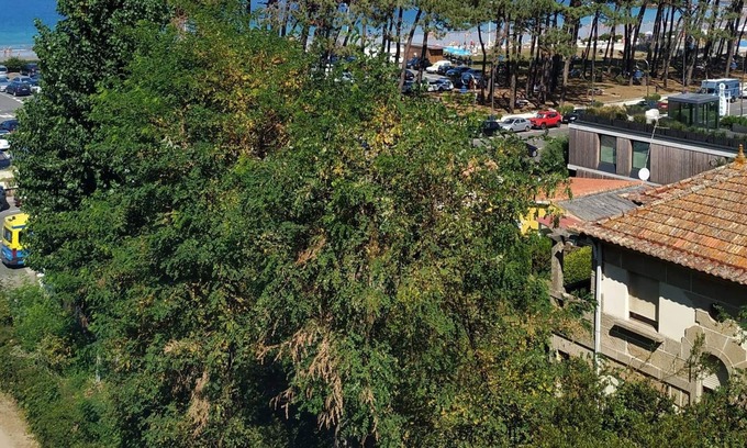 Alcabre Apartment | Primera Línea De Playa Avenida De Samil 55