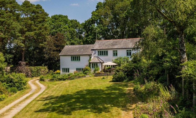 New Forest District House | Primrose Spinney