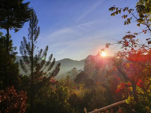 Dickoya House | Princess of Dickoya Homestay