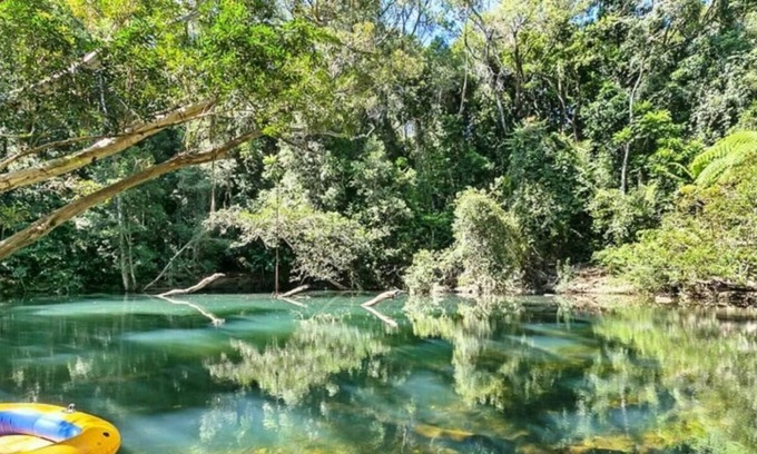Koah House | Pristine Rainforest retreat