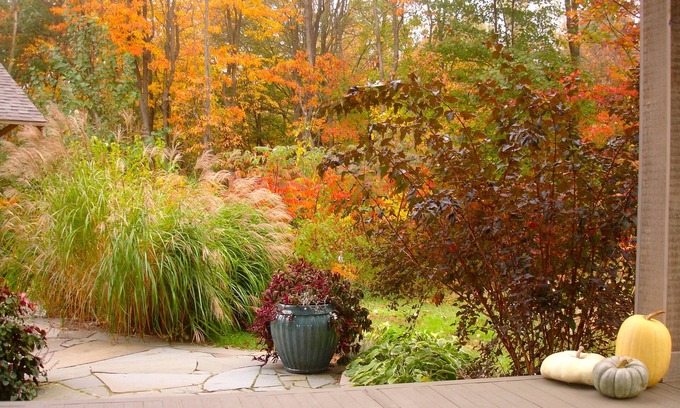 South Haven House | Private 20 acres near Lake Michigan, with your own private fishing pond.