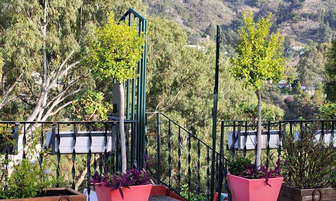 Santa Brigida Apartment | Private apartment in the countryside of Gran Canaria