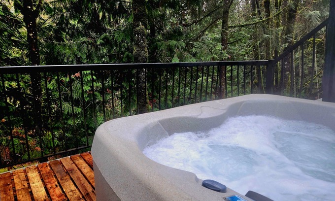 Maple Ridge House | Private Basement suite, beautiful ravine! Perfect, Relaxation or Celebration 🤩