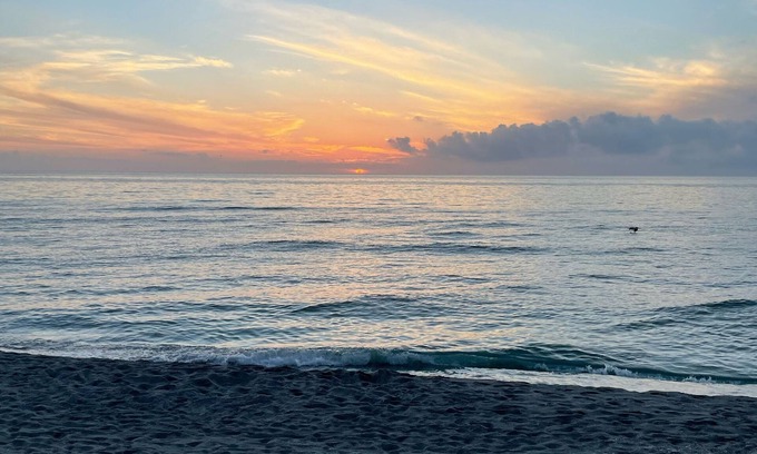 Golden Beach Condo | Private Beach With Ocean View