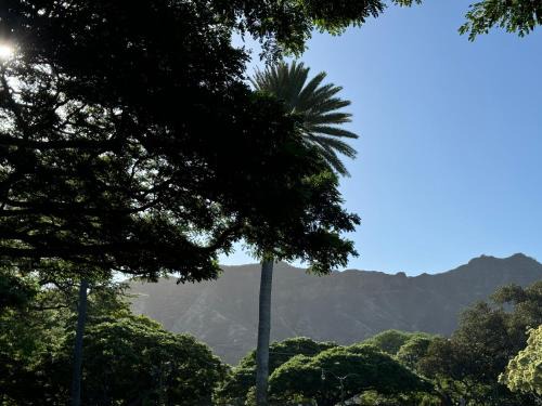 Diamond Head - Kapahulu - St. Louis House | Private Bedroom in Shared Guesthouse Waikiki Beach Area