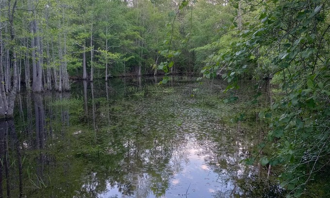 Graceville RV Rental | Private camping near Panama City and Panama City Beach. Includes a fire pit 🔥