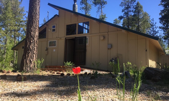 Tahoe Meadows Cabin | Private Community - 1 Block to Lake Front - Fully Furnished