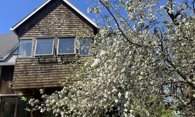 Pond Cove Cottage | Private Contemporary Artist's Tree House on two acres with perennial gardens.