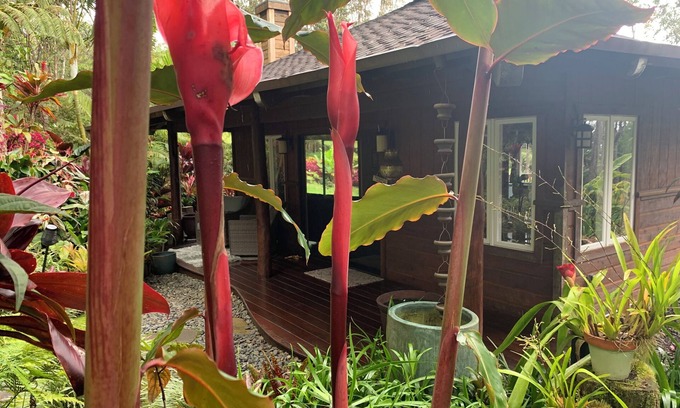 Kailua-Kona Cottage | Private Cottage In The Rain Forest TA065882726401