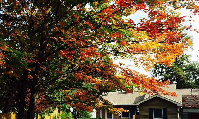 Kewadin Cottage | Private, Cozy Cottage On Torch Lake!