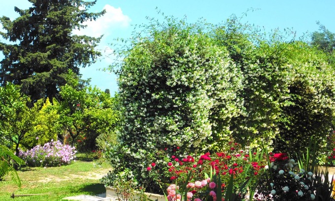 Perama House | Private, Cozy Decorated, Fancy And Modern Cottage With Sea Views And Garden.