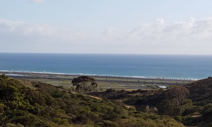 Cardiff-by-the-Sea Apartment | Private entrance 1 bedroom flat close to the beach in a quiet neighborhood