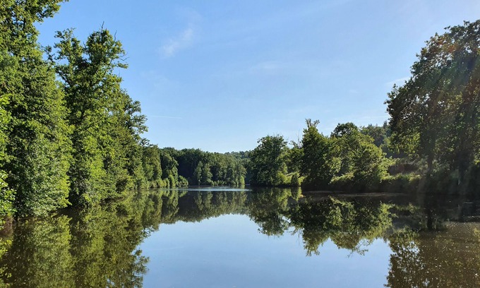 Saint-Estephe Cottage | Private lake & forest in the Dordogne: absolute calm in a comfortable gîte