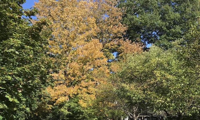 Manchester House | Private Retreat on Battenkill Near Manchester Village