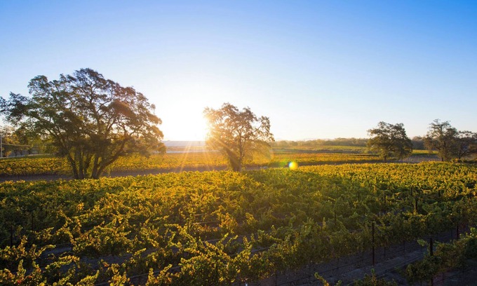 Windsor Other | Private Vineyard Residence - 10 minutes from Healdsburgn