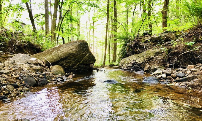 Valley Hill House | Private waterfall cottage on 9 acres three miles to main street Hendersonville