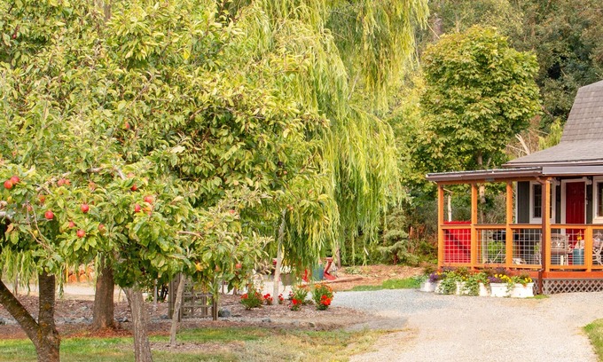 Oak Harbor Cottage | Private, well appointed, VERY clean using enhanced cleaning practices, comfy!