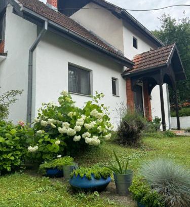 Gornja Toplica House | Privatni smeštaj Sobe Branković