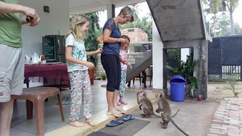 Polonnaruwa House | Priyanna Guest, Forest view