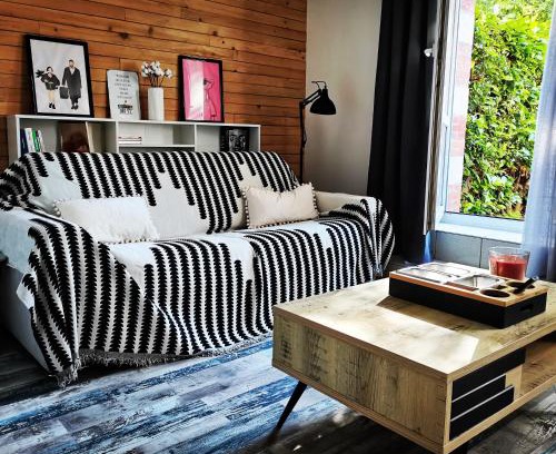 Saint-Pierre - Rene II - Bonsecours Apartment | Proche de Nancy centre, appart cinéma rénové avec parking gratuit