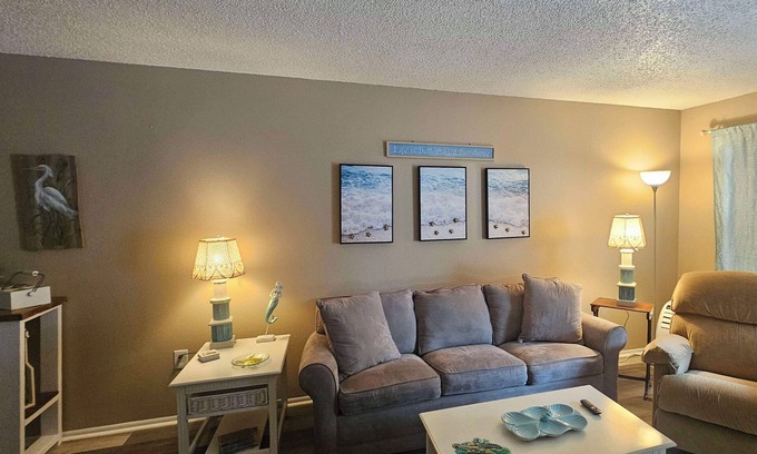 Crystal River Apartment | Professor Rousseau's Sea Turtle Sanctuary