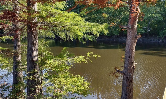 Jefferson House | Promise Land on the Bayou!
