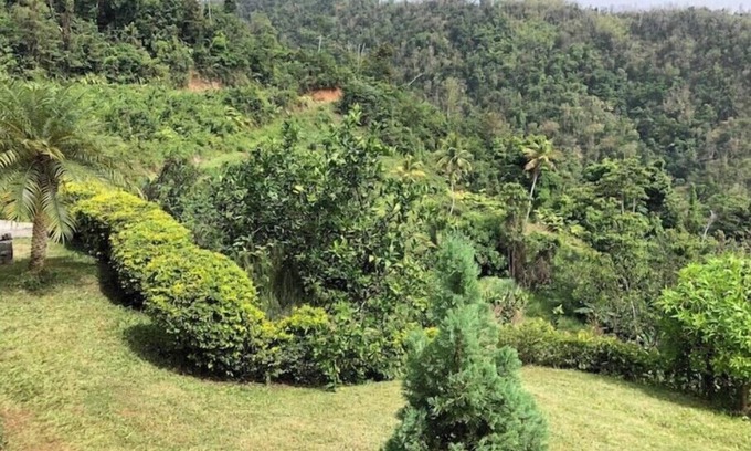 Mahaut Cottage | Providence ,Charming 3-bedroom cottage with WiFi and AC in Mahaut.