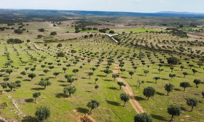 Castelo de Vide Cottage | Casa da Meada - Herdade Santo Isidro | Santo Isidro 2 | Alentejo