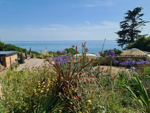 Ventnor Apartment | Puckaster Cove Cabin