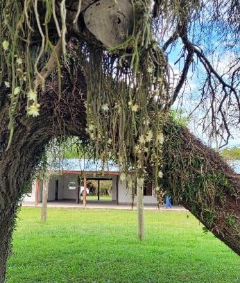 Esquina House | Puerto Colla