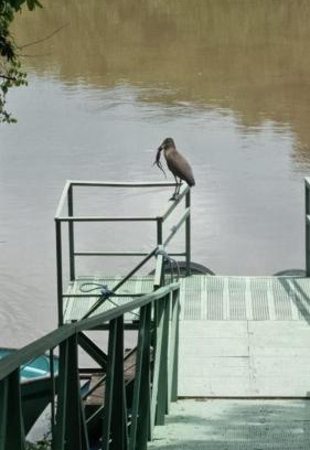 Puerto Humo House | Puertohumo