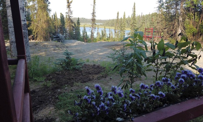 Ridgeway Cabin | Puffin Cabin; Immersed In NatureNear Kenai River