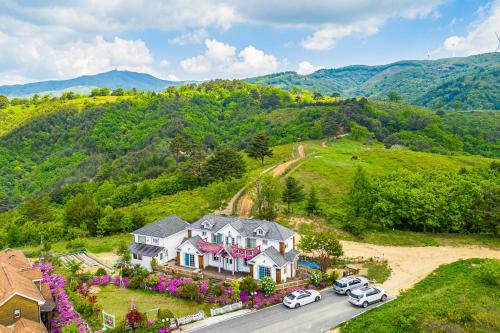 Daegwallyeong House | Pungcha & Herb Pension