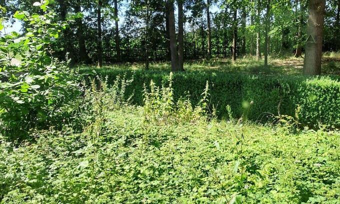 Schneverdingen Apartment | Pure nature, horse farm, forest property