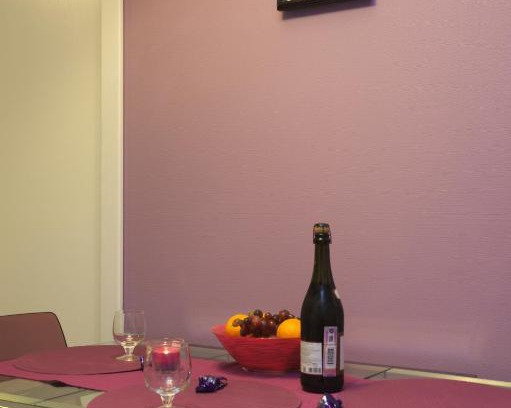 Tsentralny Apartment | Purple Gem In St. Petersburg