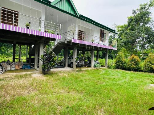 Golaghat House | Purple Orchid