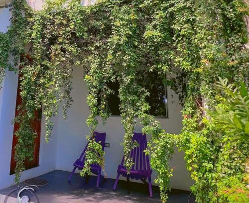 Tamanique Apartment | Purple Suites