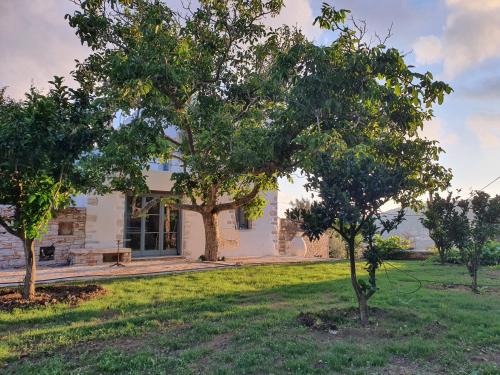 Chalkio House | PYRGOS - Traditional house at Kaloxilos, Naxos