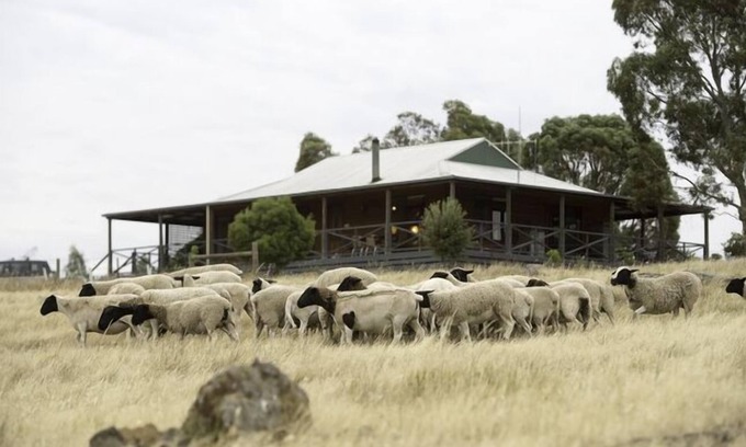 Eppalock Other | Quaint Cottage on Country Victorian Farm, Overlooking Beautiful Vineyard