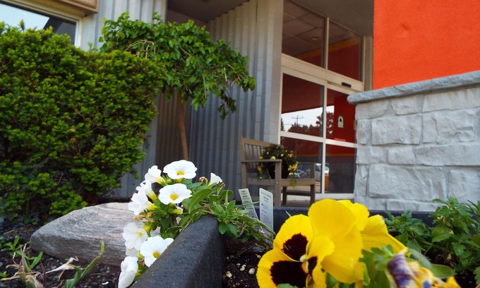 Owen Sound Hotel | Quality Inn