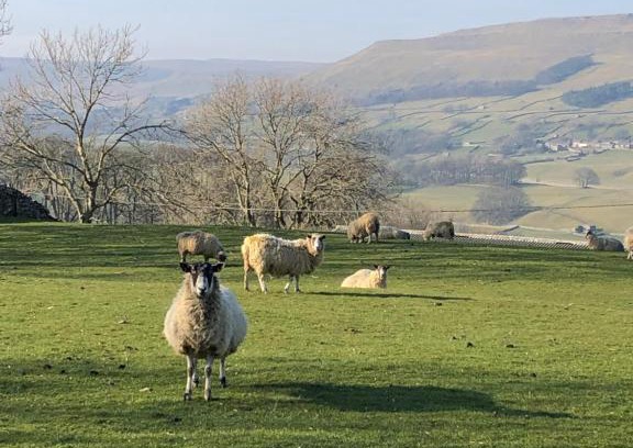 Burtersett House | Quarry Cottage near Hawes, Yorkshire Dales, Pet free