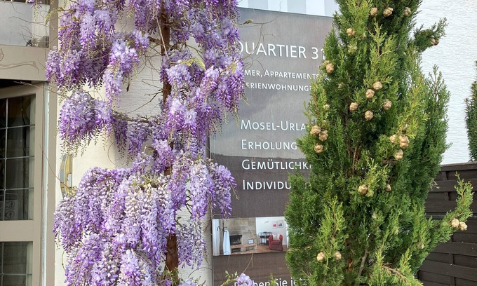 Lieser Apartment | Quartier31