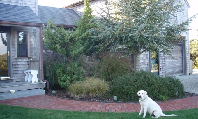 Madequecham House | Quiet, comfortable Nantucket beach house - Maddequecham Beach