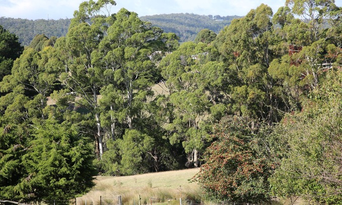 Don House | Quiet country area 5 mins from Devonport - central location