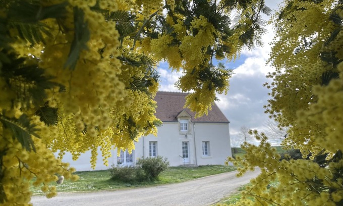 Gracay Cottage | Quiet Country House - Pets accepted.